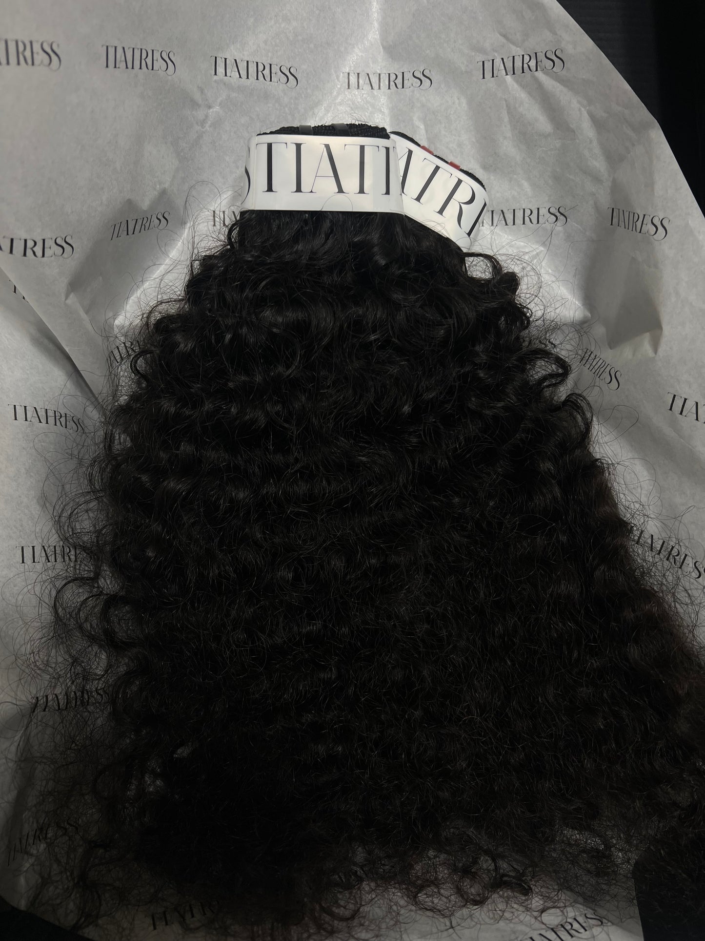 BURMESE CURLY