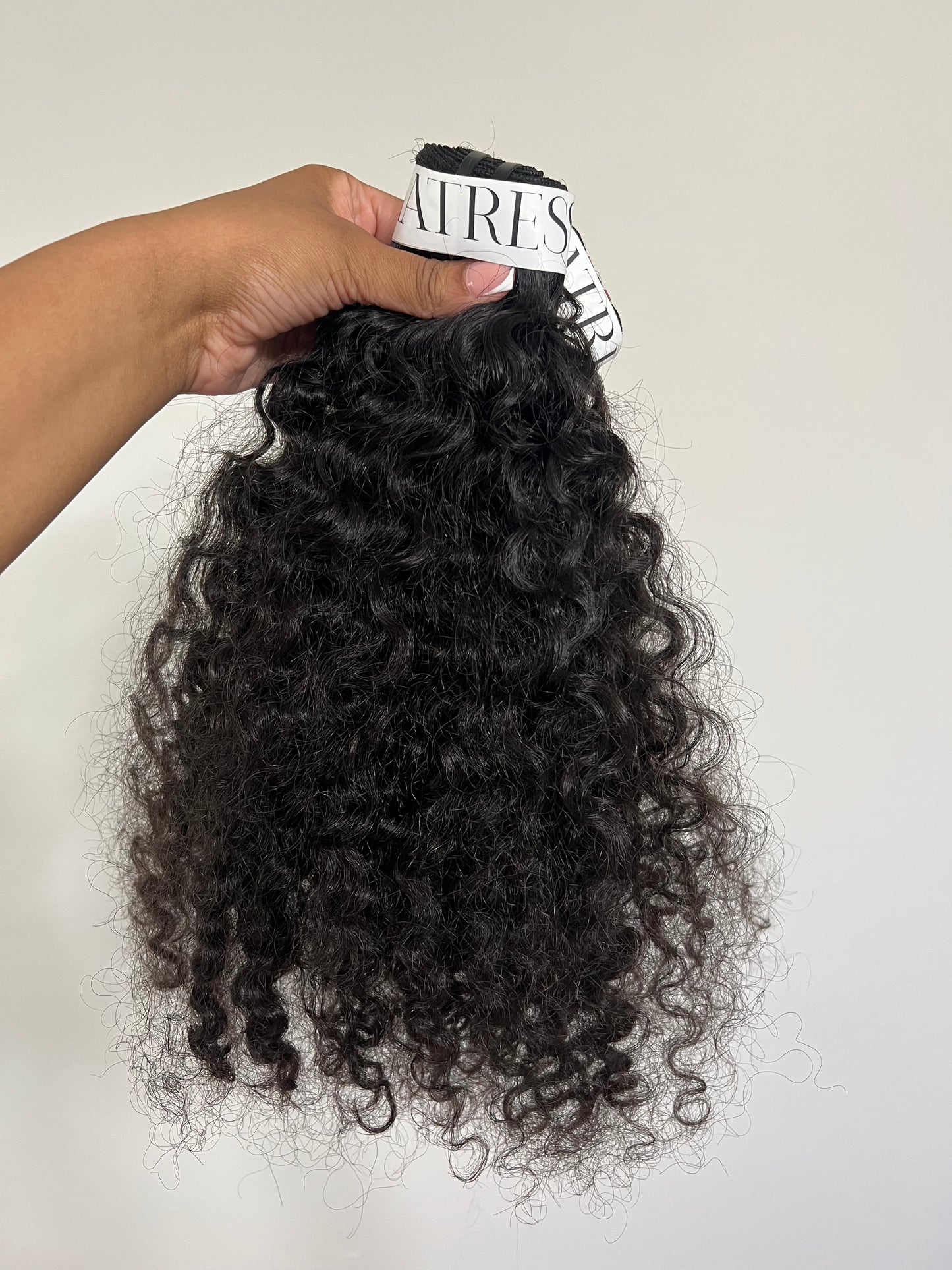 BURMESE CURLY