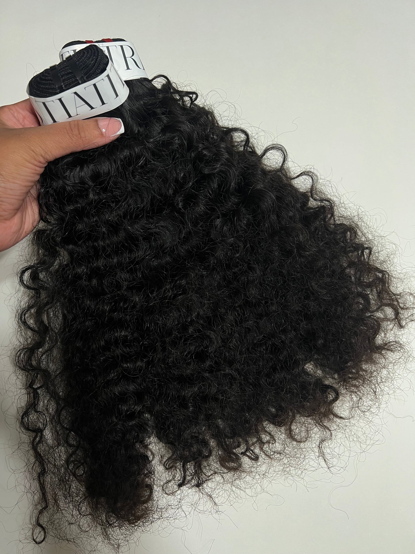BURMESE CURLY