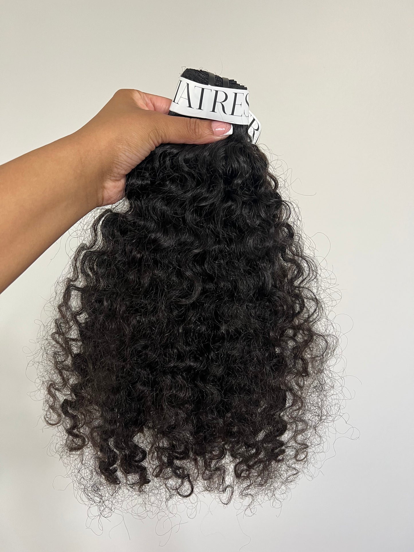 BURMESE CURLY