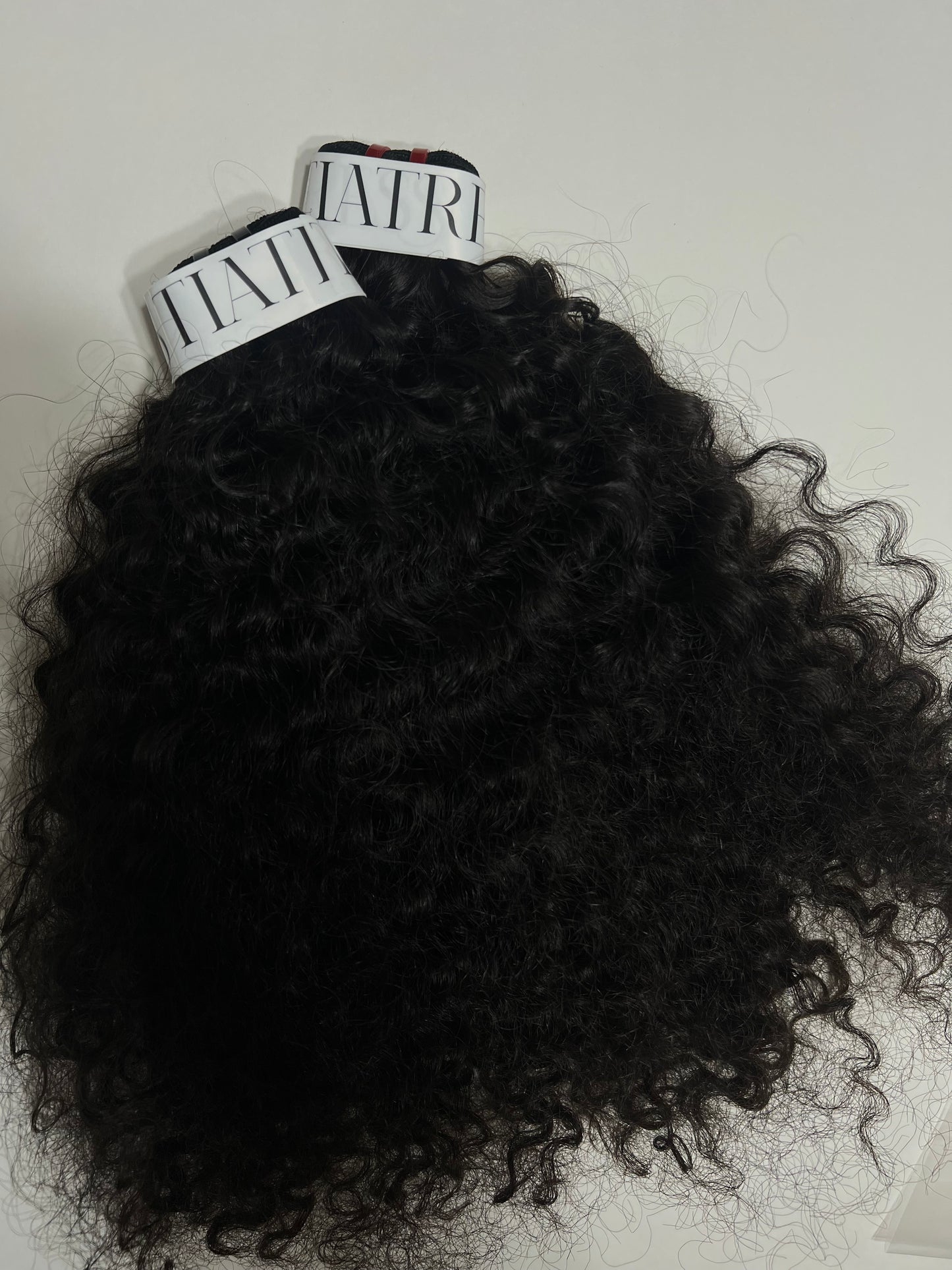 BURMESE CURLY