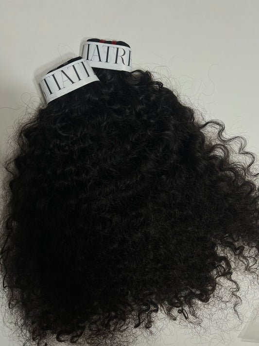 BURMESE CURLY