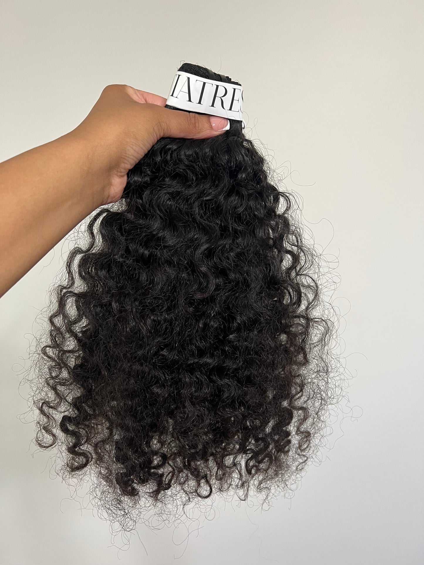 BURMESE CURLY