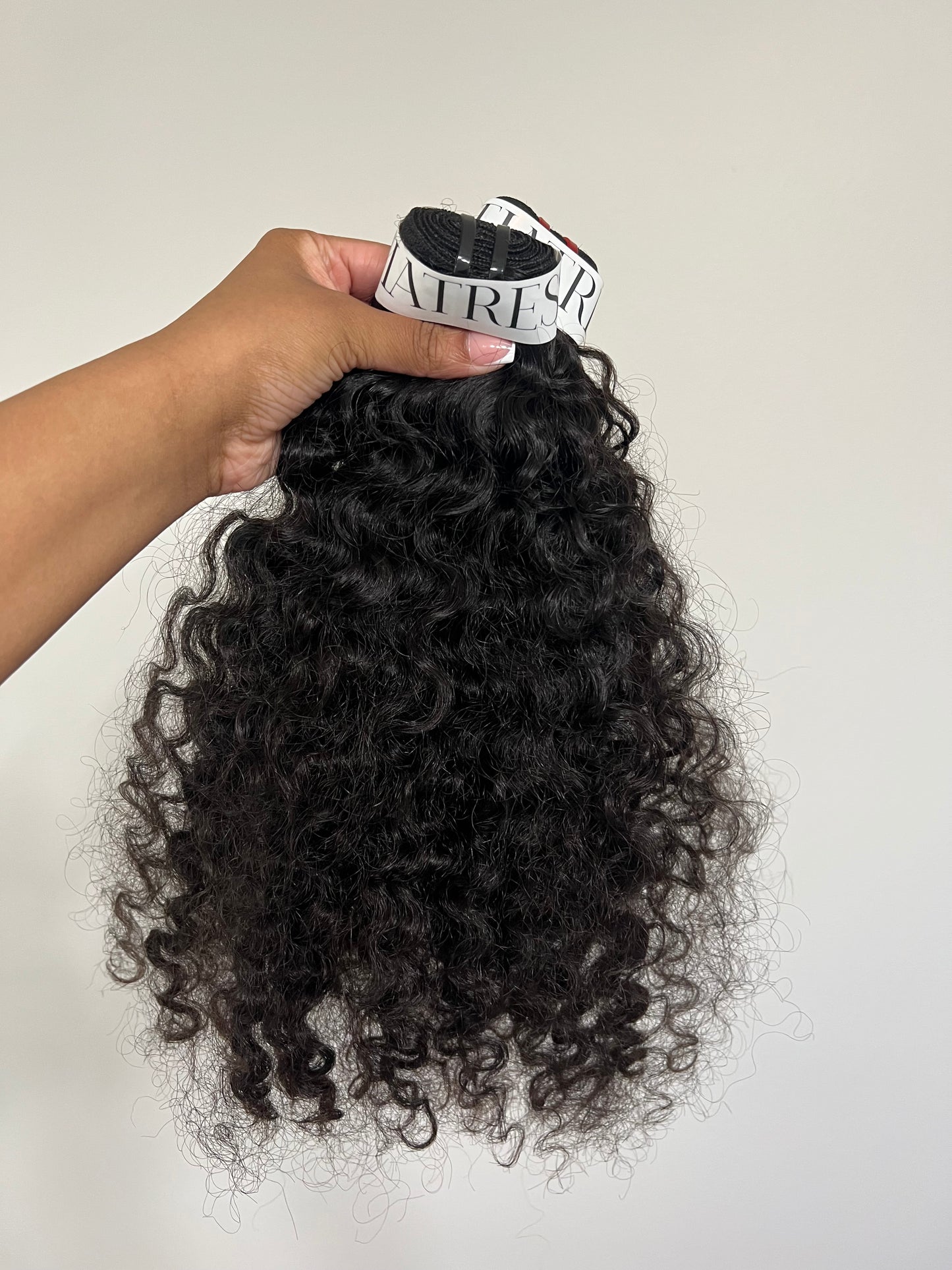 BURMESE CURLY